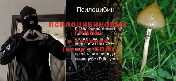 метадон Кодинск