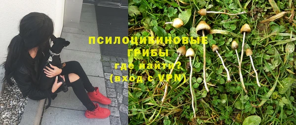 МДПВ Костерёво