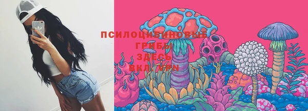 МДПВ Костерёво