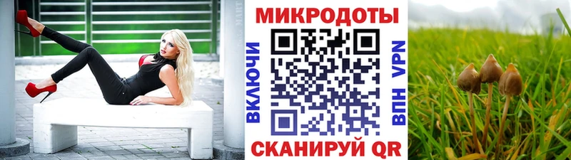 Галлюциногенные грибы Psilocybine cubensis  Купить закладки  Борзя 