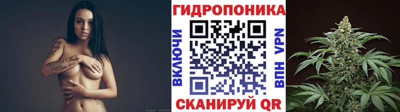 МАРИХУАНА семена  Купить  Борзя 